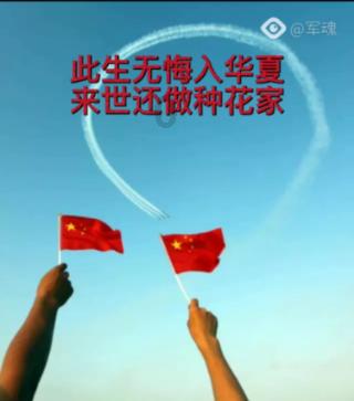 神奇小子龙之陷阱