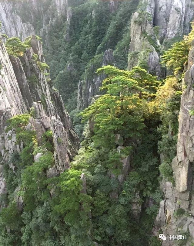 全都是凶手